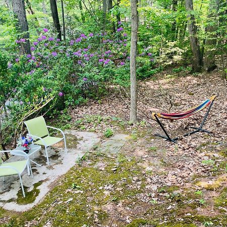 Lakeside Retreat: Pet-Friendly Cabin with Hot Tub & Outdoor Activities Mount Gretna Exterior photo